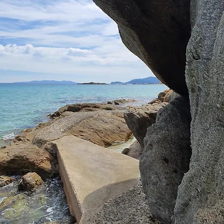 Chez Fredo Et Mag * Le Lavandou